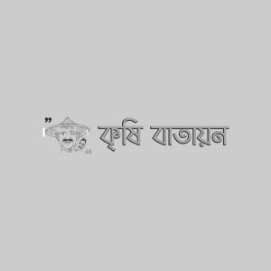 আলুর জাব পোকা