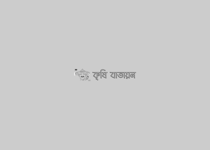 নতুন কৃষি ও আমরা