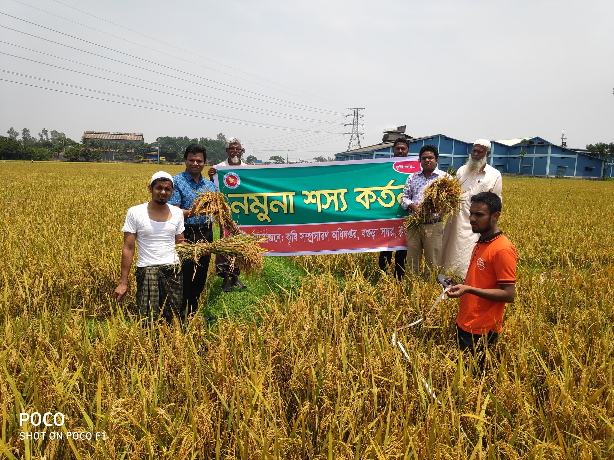 নমুনা শস্য কর্তন