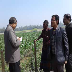 ভূট্টা প্রদর্শণী